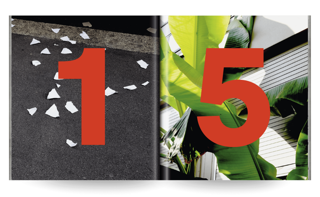 Swiss Design Awards 2020 Publication - © Dual Room